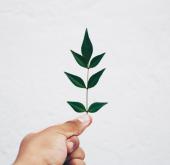 Environmentally Friendly Exhibitions Tips