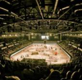 International Horse Show