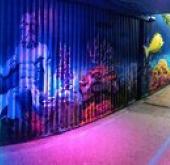 NEC Autumn Fair International