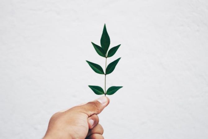 Environmentally Friendly Exhibitions Tips